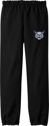 CT Bobcats Youth Heavy Blend Sweatpant