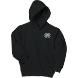 FRC Colts Neck Youth EcoSmart Pullover Hooded Sweatshirt