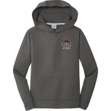 Wash U Youth Performance Fleece Pullover Hooded Sweatshirt